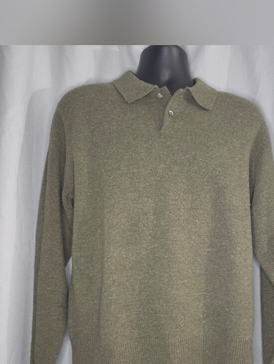 Daniel Cremieux Other - Daniel Cremieux M Medium Men's Olive 100 %  Lambswool Polo Sweater